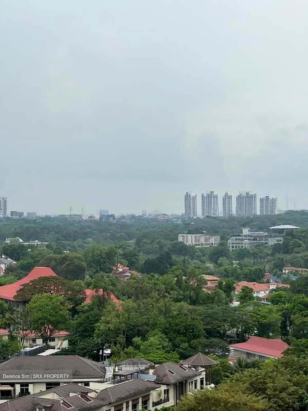 Regency Park (D10), Condominium #576820241